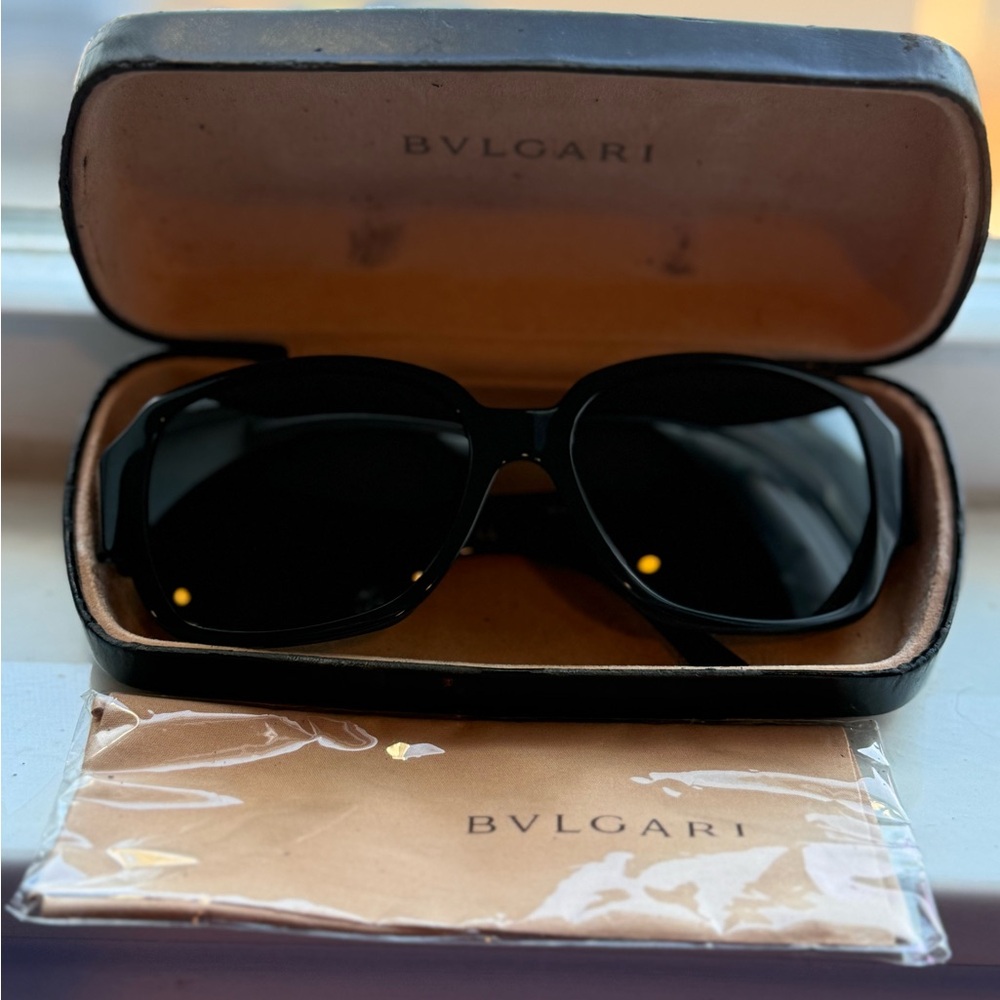 Bulgari Black Eyewear Case